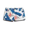 Chino Hot Shorts