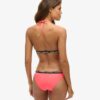 Elastic Classic Bikini Bottom