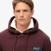 Essential Logo Hoodie