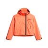 Hooded Embroidered Sd Windbreaker Jacket