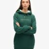 Luxe Metallic Logo Hoodie Dress Luxe Metallic Logo Hoodie Dress