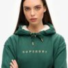 Luxe Metallic Logo Hoodie Dress Luxe Metallic Logo Hoodie Dress