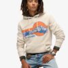 Outdoor Graphic Stripe Hoodie