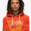 Outdoor Graphic Stripe Hoodie