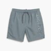 Premium Embroidered 17-Inch Swim Shorts
