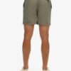 Premium Embroidered 17-Inch Swim Shorts