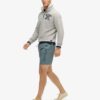 Premium Embroidered 17-Inch Swim Shorts