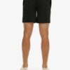 Premium Embroidered 17-Inch Swim Shorts