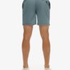 Premium Embroidered 17-Inch Swim Shorts