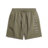 Premium Embroidered 17-Inch Swim Shorts