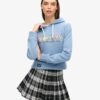 Rainbow Logo Graphic Hoodie