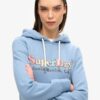 Rainbow Logo Graphic Hoodie