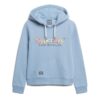 Rainbow Logo Graphic Hoodie