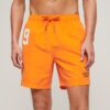Recycled Polo 17-Inch Swim Shorts