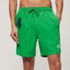Recycled Polo 17-Inch Swim Shorts