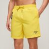 Recycled Polo 17-Inch Swim Shorts