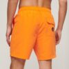 Recycled Polo 17-Inch Swim Shorts