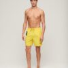 Recycled Polo 17-Inch Swim Shorts
