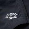 Recycled Polo 17-Inch Swim Shorts