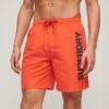 Sport Graphic 17-Inch Recycled Swim Shorts Sport Graphic 17-Inch Recycled Swim Shorts