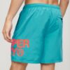 Sportswear Logo 17-Inch Recycled Swim Shorts