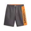 Sportswear Logo 19 Inch Recycled Boardshorts