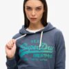 Tonal Vintage Logo Graphic Hoodie