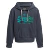 Tonal Vintage Logo Graphic Hoodie