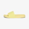 Vegan Logo Pool Sliders