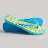Vintage Flip Flops