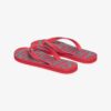 Vintage Flip Flops