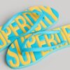 Vintage Flip Flops