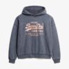 Vintage Logo Metallic Relaxed Hoodie