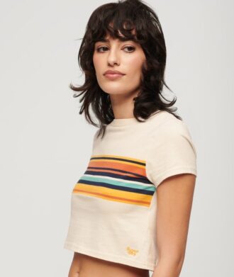 Vintage Stripe Crop T-Shirt