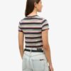 Vintage Stripe Crop T-Shirt