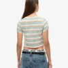 Vintage Stripe Crop T-Shirt