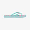 Vintage Vegan Flip Flops
